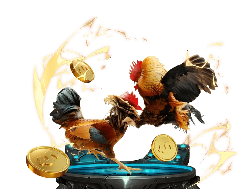 Giao diện P3BET VIP đá gà trực tuyến